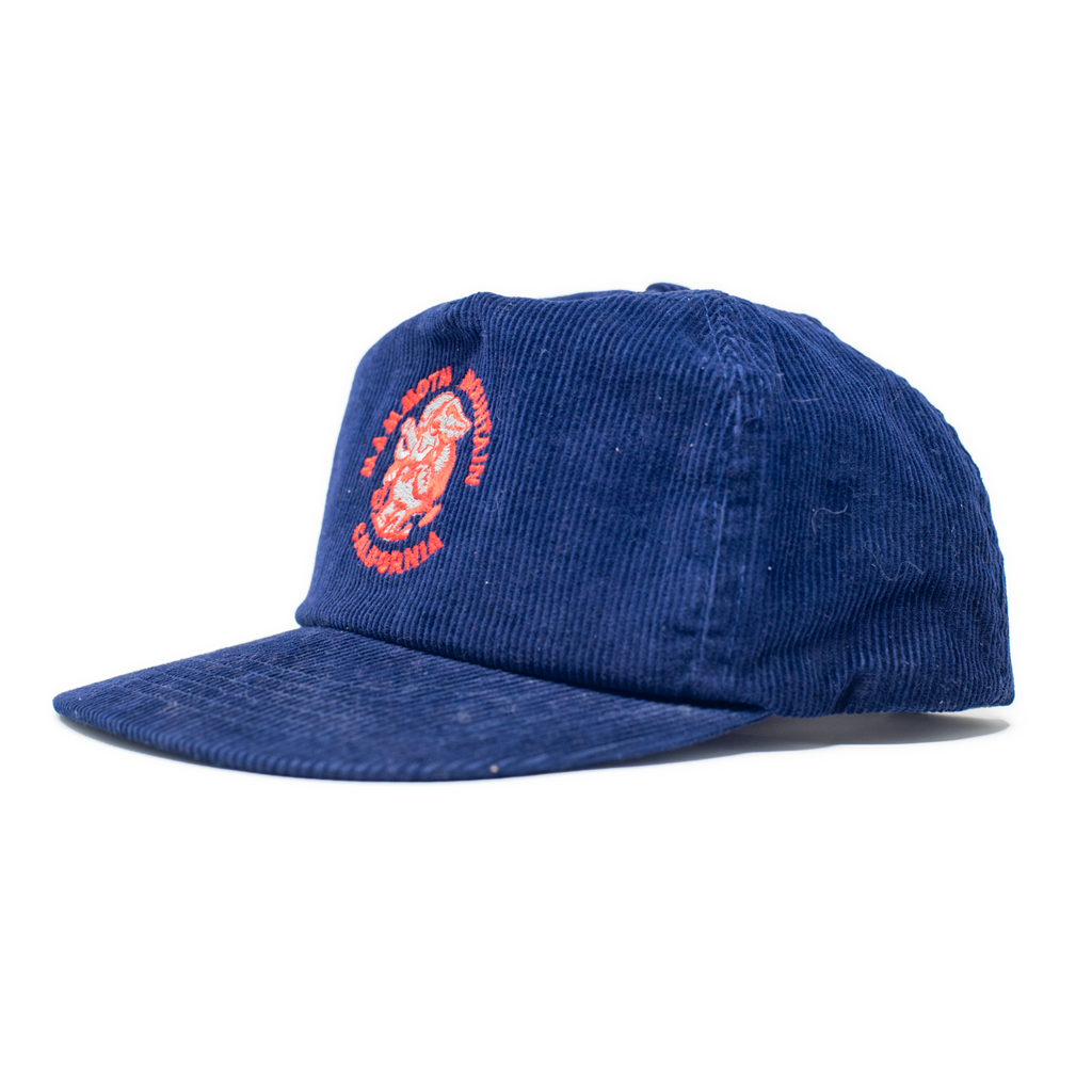 Vintage Mammoth Mountain California Cap