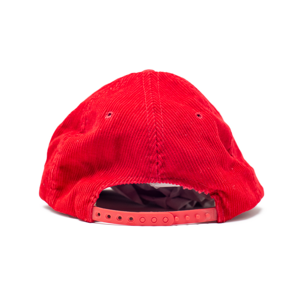 Vintage Aspen Cap