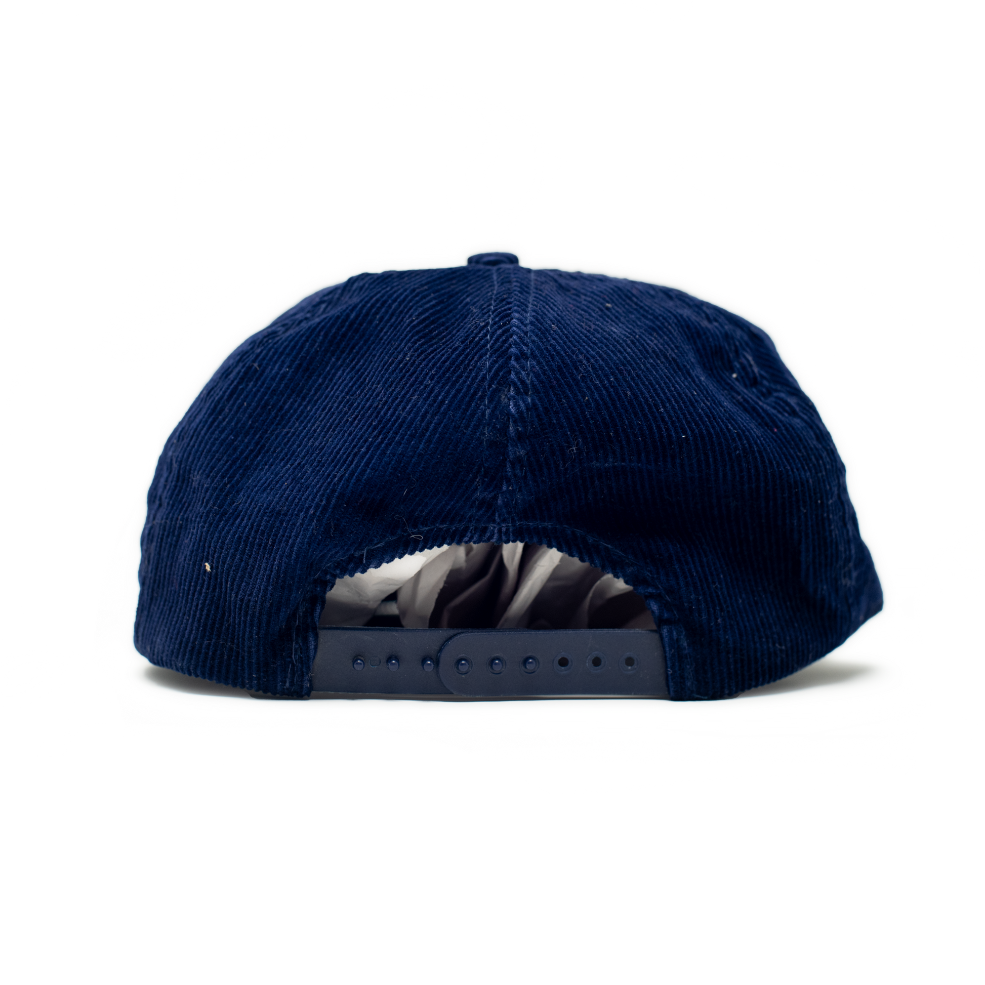 Vintage Mammoth Mountain California Cap
