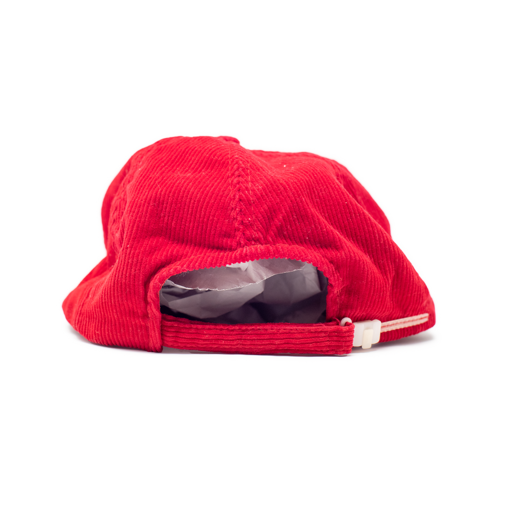Vintage Snowmass Cap